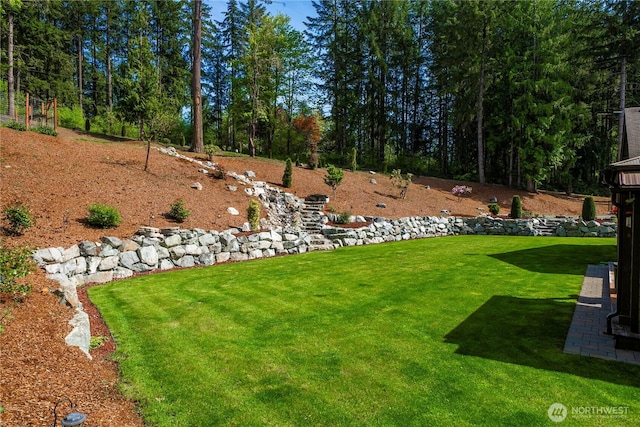 view of yard