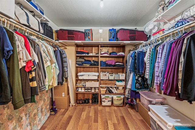 walk in closet featuring wood finished floors