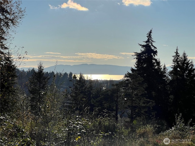 4121 Malachite Dr, Bellingham, WA 98226