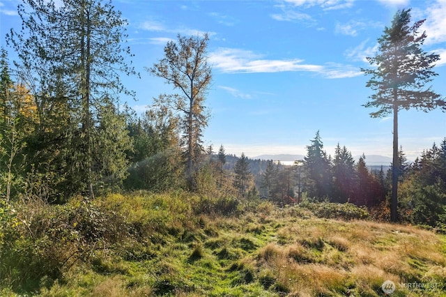 4121 Malachite Dr, Bellingham, WA 98226