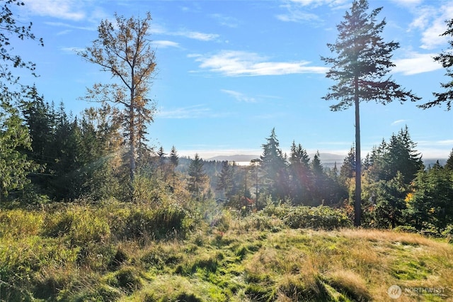 4121 Malachite Dr, Bellingham, WA 98226
