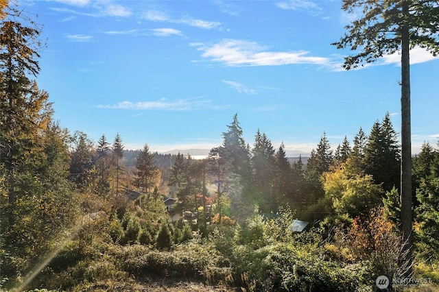 4121 Malachite Dr, Bellingham, WA 98226