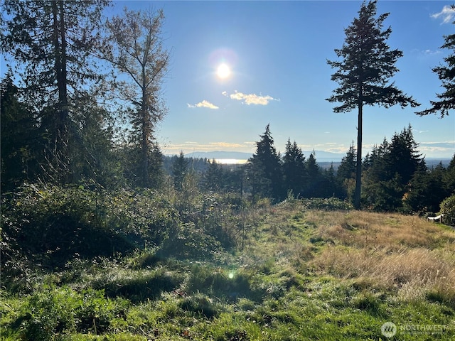 4121 Malachite Dr, Bellingham, WA 98226