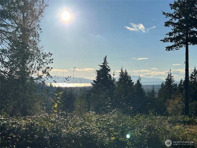 4121 Malachite Dr, Bellingham, WA 98226
