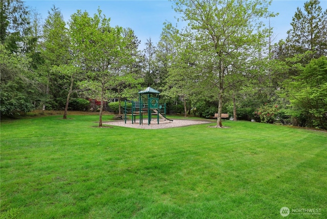 25846 NE 4th Pl, Sammamish, WA 98074 - view of green lawn