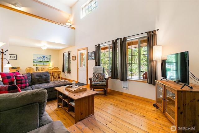 12026 Shuksan Rim Dr, Deming, WA 98244 - living room with light wood-style floors, a high ceiling, and baseboards