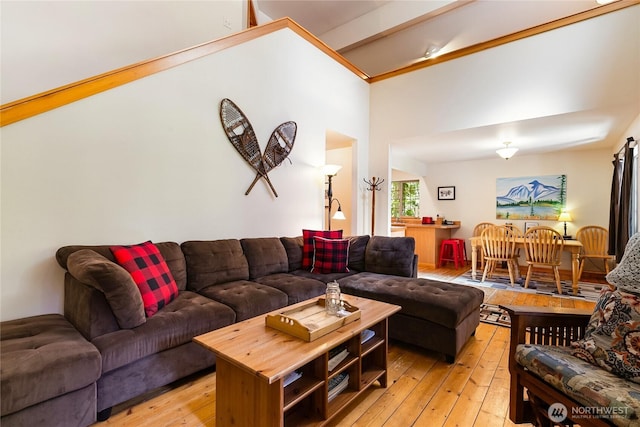 12026 Shuksan Rim Dr, Deming, WA 98244 - living area featuring light wood finished floors and lofted ceiling