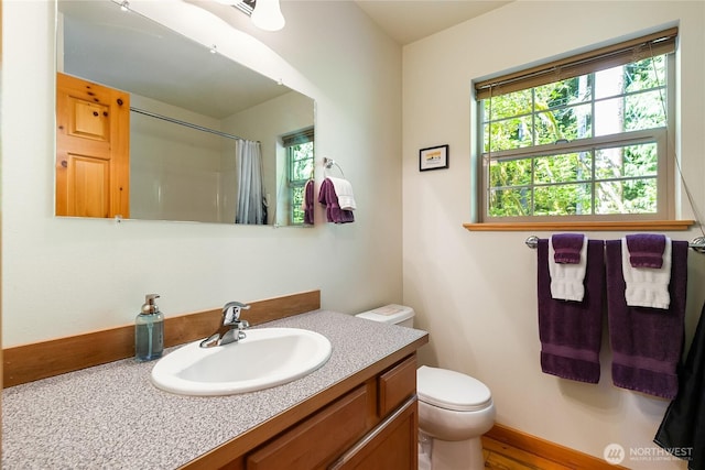 12026 Shuksan Rim Dr, Deming, WA 98244 - bathroom featuring plenty of natural light, toilet, curtained shower, and vanity