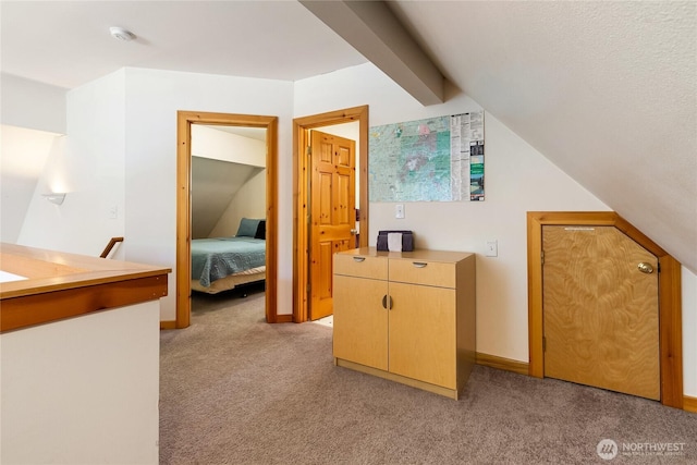 12026 Shuksan Rim Dr, Deming, WA 98244 - bonus room with light colored carpet, lofted ceiling, and baseboards