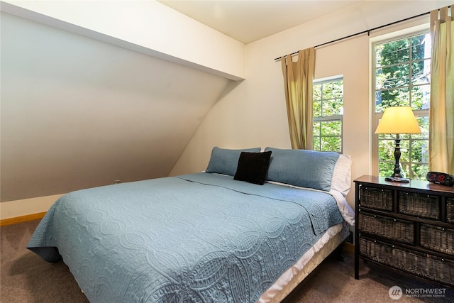 12026 Shuksan Rim Dr, Deming, WA 98244 - view of carpeted bedroom