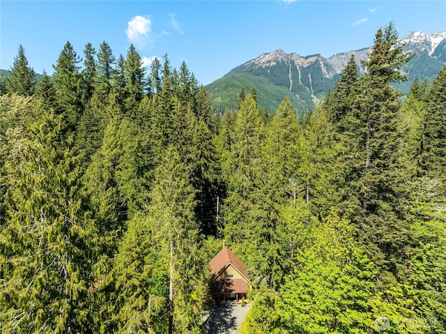 12026 Shuksan Rim Dr, Deming, WA 98244 - mountain view featuring a heavily wooded area