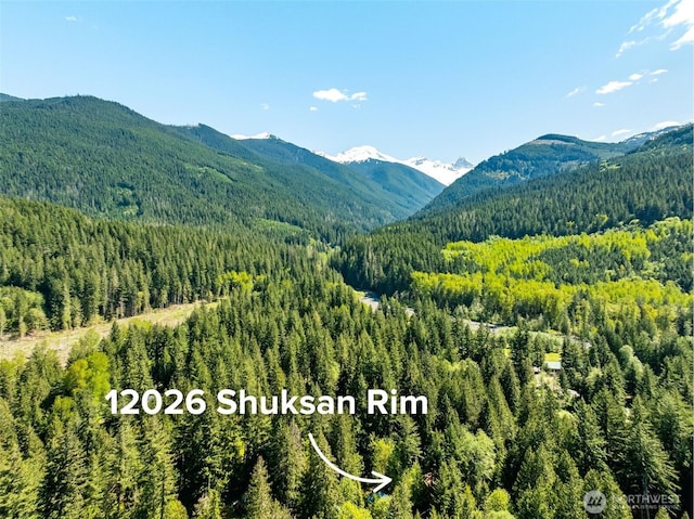 12026 Shuksan Rim Dr, Deming, WA 98244 - view of mountain backdrop with a forest