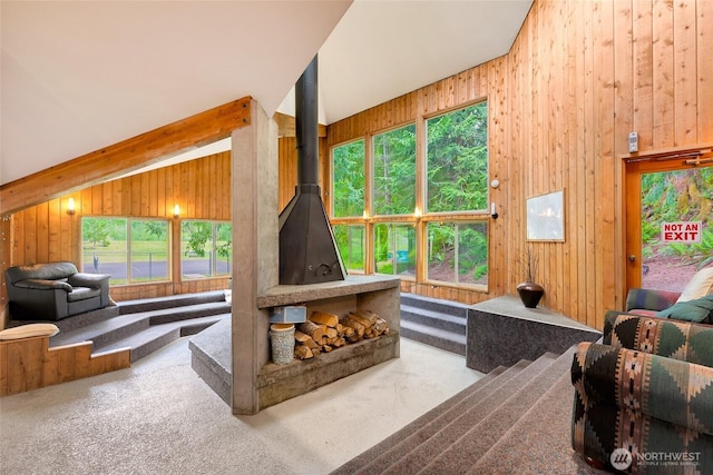 12026 Shuksan Rim Dr, Deming, WA 98244 - sunken living room featuring wooden walls, a wood stove, and carpet