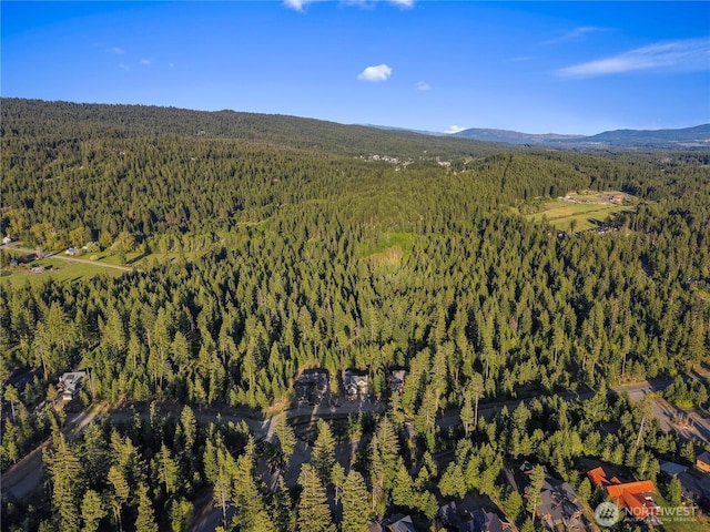 34 Old Grove Trl, Cle Elum, WA 98922 - drone / aerial view featuring a forest view and a mountain view