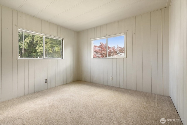 252 Romerman Rd, Chehalis, WA 98532 - unfurnished room with carpet flooring