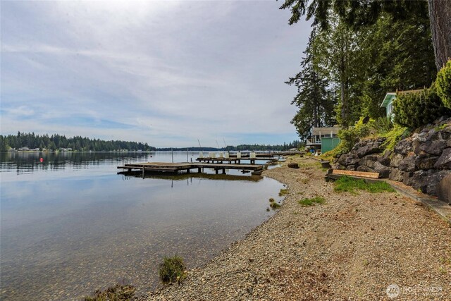 dock with a water view