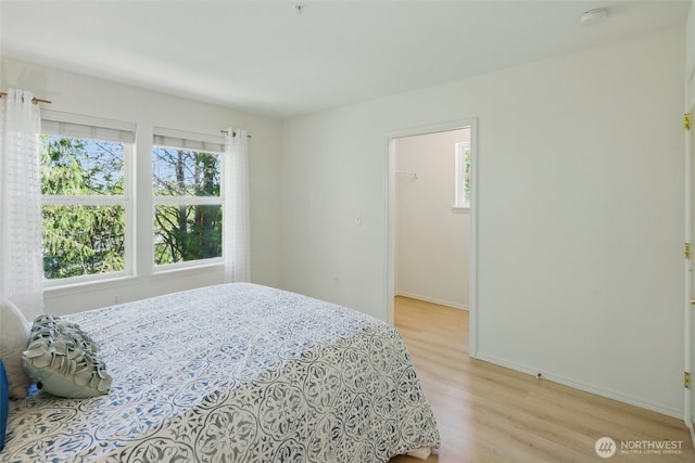 bedroom with light wood finished floors, a spacious closet, baseboards, and multiple windows