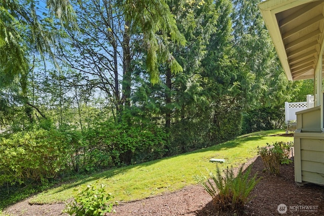 view of yard