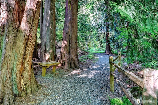 view of property's community with a forest view
