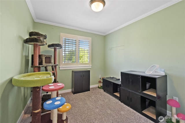 game room with crown molding, carpet, and baseboards