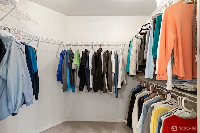 spacious closet with carpet flooring
