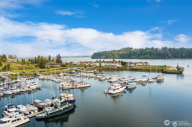 water view featuring numerous boat docks and a dock