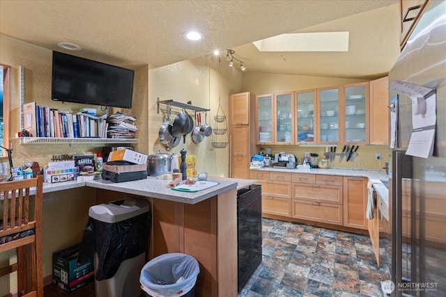 kitchen with a skylight, light countertops, vaulted ceiling, a textured wall, and a textured ceiling