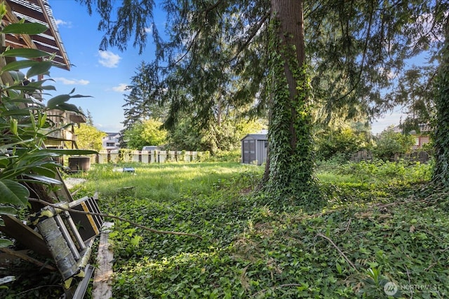 view of yard with a shed and an outdoor structure