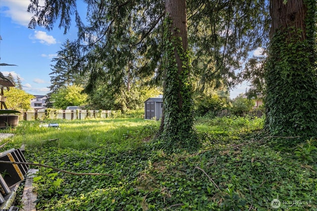 view of yard with a storage shed and an outbuilding