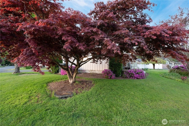 524 Carl Way, Aberdeen, WA 98520 - view of yard