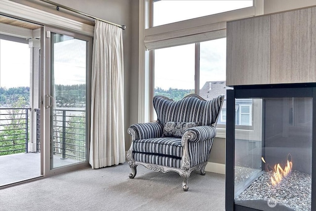 3319 Burnett Ave N, Renton, WA 98056 - living area featuring carpet and plenty of natural light