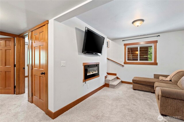 2457 Salal Dr, Leavenworth, WA 98826 - photo 32