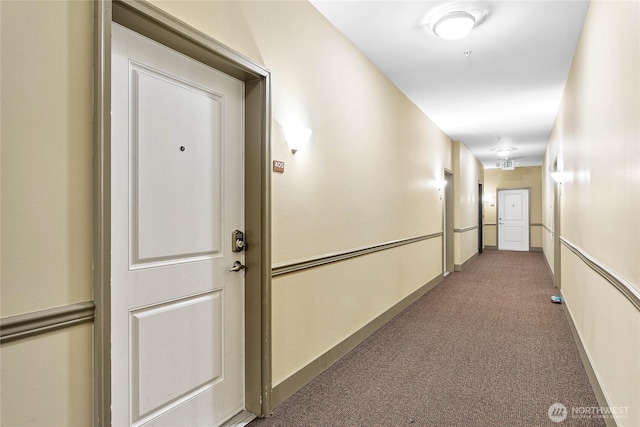 1015 Railroad Ave Unit 405, Bellingham, WA 98225 - corridor with carpet