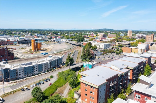 1015 Railroad Ave Unit 405, Bellingham, WA 98225 - view of urban area