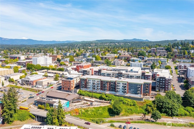 1015 Railroad Ave Unit 405, Bellingham, WA 98225 - bird's eye view of mountains