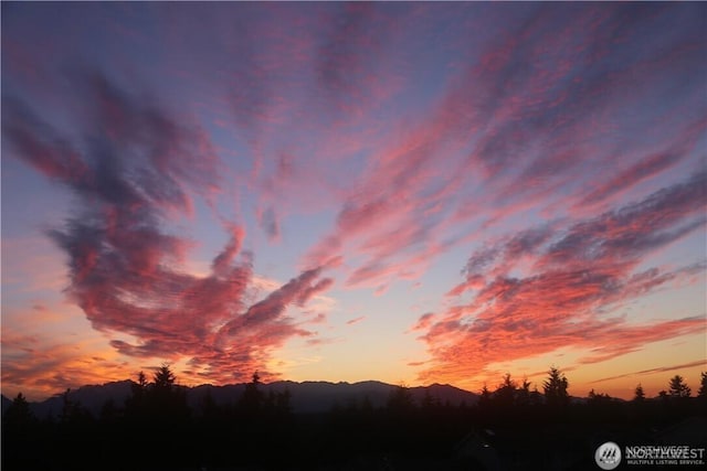 view of nature