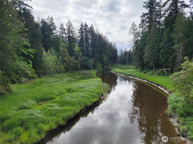 property view of water featuring a forest view