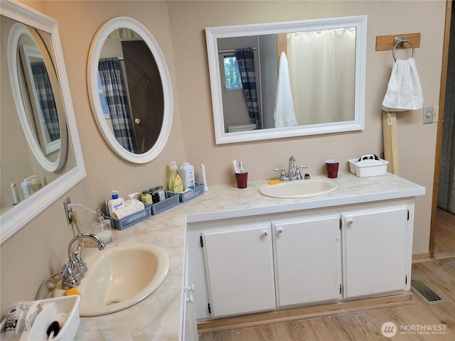 bathroom with double vanity, visible vents, and a sink