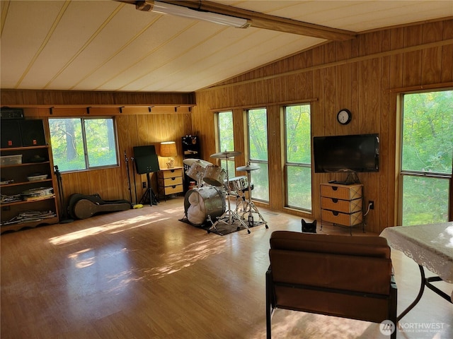 living area featuring vaulted ceiling, wooden walls, plenty of natural light, and wood finished floors