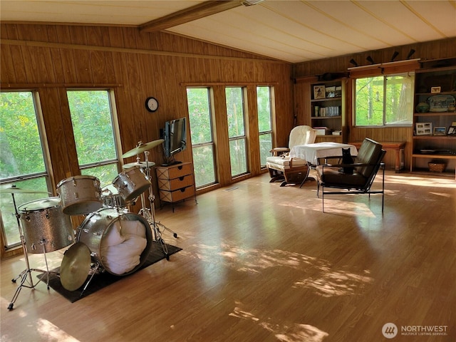 living area featuring wood walls, wood finished floors, and healthy amount of natural light