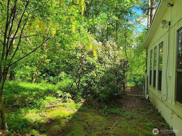 view of yard with a view of trees