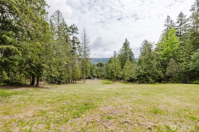 6832 Illahee Rd NE, Bremerton, WA 98311 - photo 35