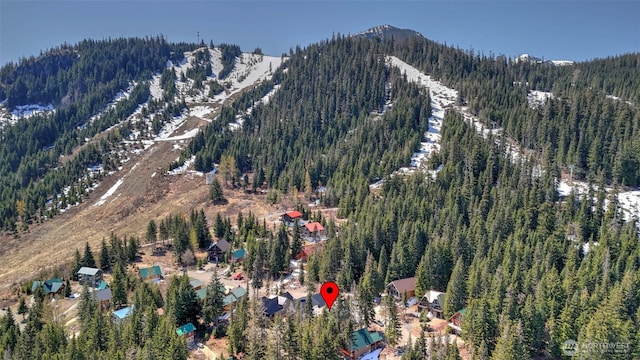160 Innsbruck Dr, Snoqualmie Pass, WA 98068 - photo 3