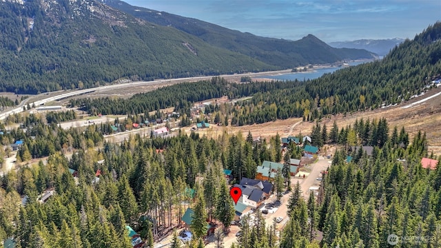 160 Innsbruck Dr, Snoqualmie Pass, WA 98068 - photo 30