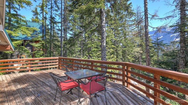 160 Innsbruck Dr, Snoqualmie Pass, WA 98068 - photo 10