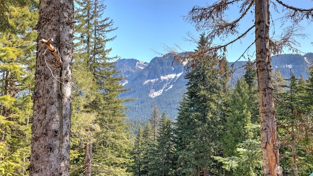 160 Innsbruck Dr, Snoqualmie Pass, WA 98068 - photo 29