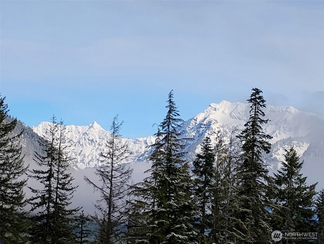 160 Innsbruck Dr, Snoqualmie Pass, WA 98068 - photo 35
