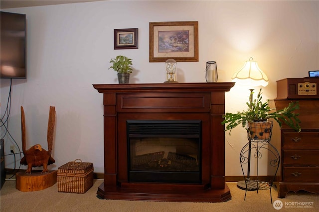 detailed view of carpet flooring and a fireplace