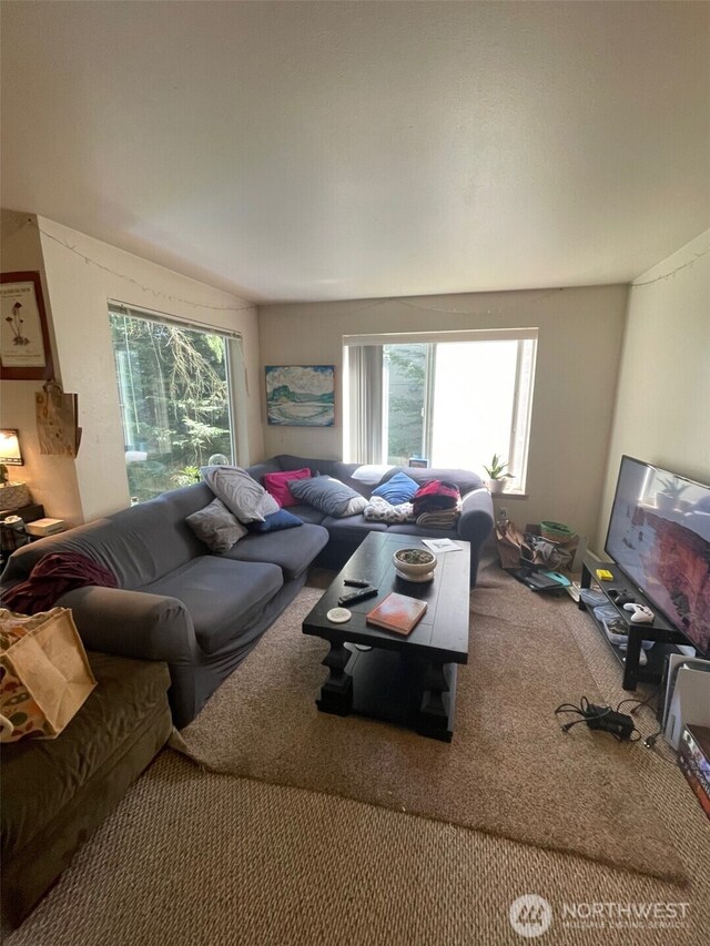 10202 1st Ave NW, Seattle, WA 98177 - living area with healthy amount of natural light and carpet