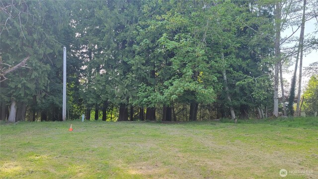 10130 Lookout Dr NW, Olympia, WA 98502 - photo 3
